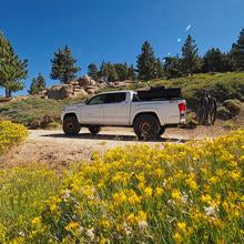 Load image into Gallery viewer, Elevate Chromoly Ball Joint UCA, 2005-2023 Tacoma 2/4WD